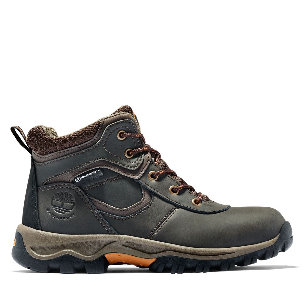 Timberland Kids Hiking Boots Youth Mt. Maddsen Waterproof - Dark Brown - India DW2954708